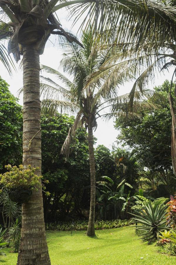 The Villa Salt Rock Ballito Exterior photo